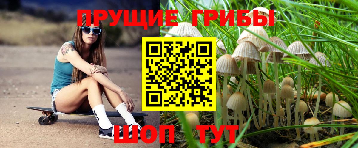 Галлюциногенные грибы прущие грибы Ржев