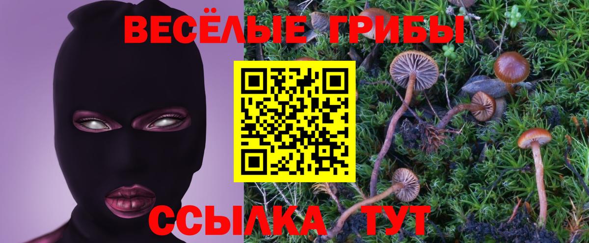Псилоцибиновые грибы ЛСД  Псилоцибиновые грибы прущие грибы  Ржев  Вход с VPN 